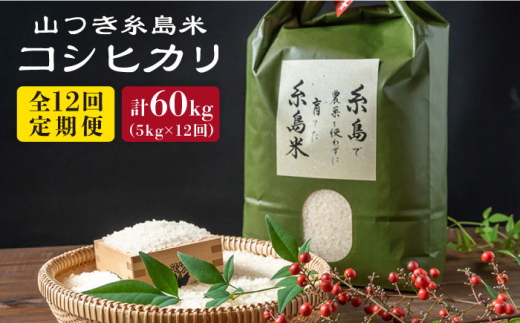 【全12回定期便】糸島 で 農薬 を使わずに育てた 山つき 糸島米 5kg （ コシヒカリ ） 糸島市 / itoshimacco / 株式会社やました [ARJ036]