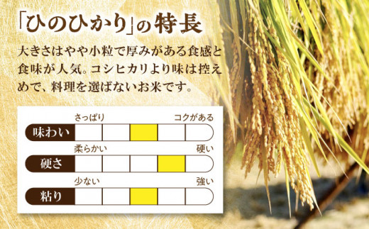 【令和6年産新米】糸島産 雷山 のふもと 栽培期間中 農薬不使用の米 10kg（5kg×2）ひのひかり【2024年10月下旬以降順次発送】ヒノヒカリ 糸島市 / ツバサファーム [ANI002]