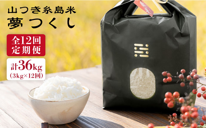 【全12回定期便】糸島 で 農薬 を使わずに育てた 山つき 糸島米 3kg （ 夢つくし ） 糸島市 / itoshimacco / 株式会社やました [ARJ032]