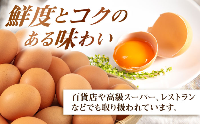 【80個】黄身にコク！白身に甘み！てつやとのりこの玉子 板垣ファーム [AWD003]