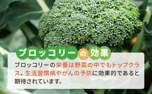 ブロッコリー 500g 冷凍 旬の時期に急速冷凍 【福岡県糸島産】 糸島市 / オーガニックナガミツファーム 野菜 [AGE043]