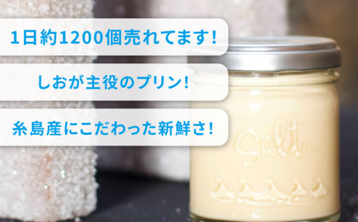 【全3回定期便】しおが主役 しおをかけてたべる プリン 花塩 プレーン 6個 セット 糸島市 / またいちの塩 [AEB007]