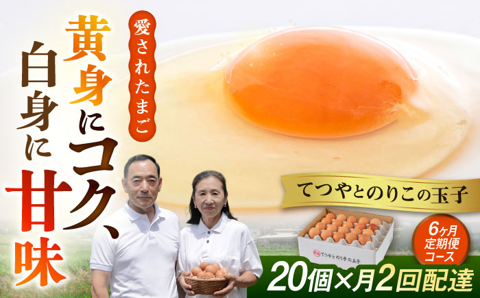 《月2回×20個 6ヶ月コース》 卵 てつやとのりこの玉子 全12回定期便 糸島市 / 板垣ファーム [AWD013]