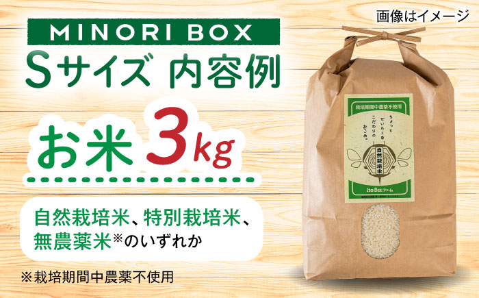 【全4回定期便】糸島産 魚 米 野菜 果物 厳選詰め合わせ MINORI BOX Sサイズ【季節ごとに年4回お届け】　糸島市 / emma.Inc / 米 魚 野菜 詰め合わせ [AOP004] 米 こめ 魚 さかな 野菜 やさい 糸島 詰め合わせ MINORI 定期便
