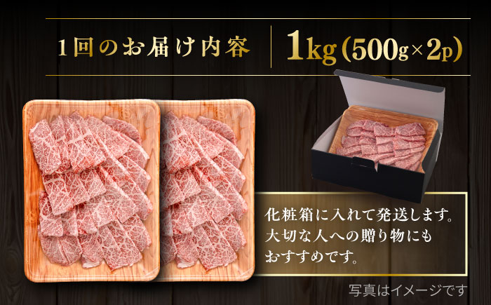 【全12回定期便】【A4/A5等級】博多和牛 カルビ 焼肉用 1kg 糸島市 / ヒサダヤフーズ 黒毛和牛 牛肉 焼き肉 雌牛 [AIA107]
