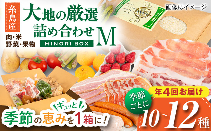 【全4回定期便】糸島産 肉 米 野菜 果物 厳選詰め合わせ MINORI BOX Mサイズ【季節ごとに年4回お届け】 糸島市 / emma.Inc / 米 肉 野菜 果物 詰め合わせ [AOP002] 米 こめ 肉 にく 野菜 やさい 果物 くだもの 糸島 詰め合わせ MINORI