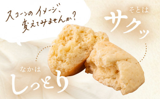 【 贈答用 】 定番 スコーン 6種 12個 セット 《糸島》【キナフク】焼き菓子 焼菓子 洋菓子 スイーツ パン [AFA006]