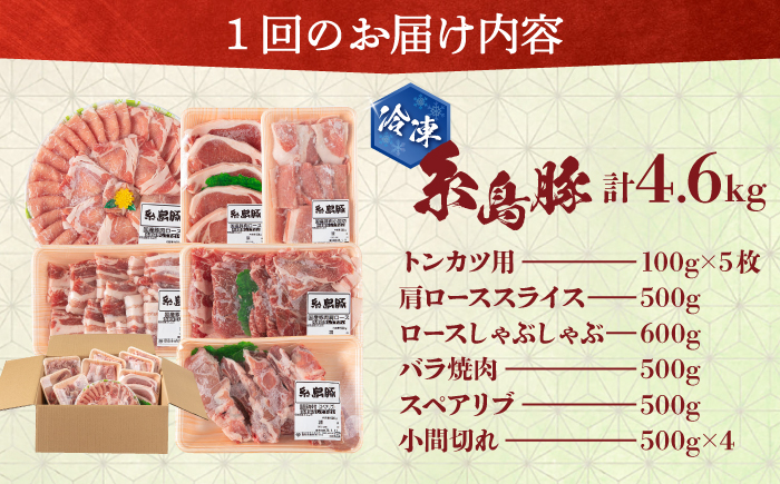 【全6回定期便】計4.6kg！糸島豚 食べ尽くしセット ( とんかつ / 肩ロース / しゃぶしゃぶ / 豚バラ / スペアリブ / 小間切れ ) 糸島市 / トラヤミートセンター [AJD013] 豚肉 スライス しゃぶしゃぶ ロース スペアリブ こま切れ
