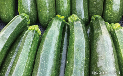 ☆キャンプにもおすすめ☆バーベキュー・グリル用朝獲れ野菜特選セット【福岡県糸島産】(たっぷり7〜8人分) 糸島市 / オーガニックナガミツファーム 野菜 詰め合わせ [AGE039]