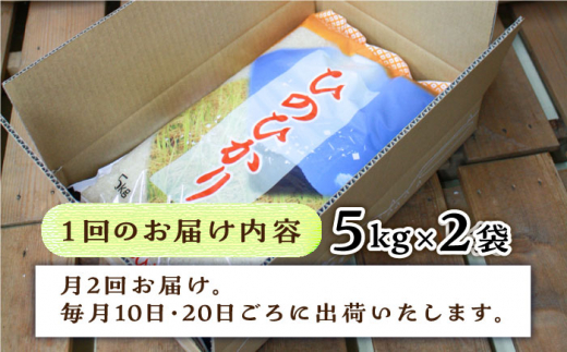 【2024年11月以降順次発送】【月2回お届け】【全12回定期便】糸島産 ひのひかり 10kg 6ヶ月コース 糸島市 / 三島商店 [AIM033]