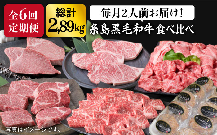 【全6回定期便】 糸島 黒毛和牛 食べ比べ セット 2人前 約2.8kg 糸島 / 糸島ミートデリ工房  [ACA110]  定期便 肉 ランプ シャトーブリアン