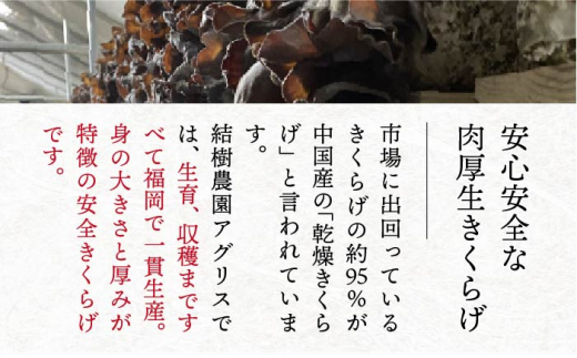 【全3回定期便】結樹農園 アグリス めんたい きくらげ 300g×3P 《糸島》【結樹農園アグリス】 [AAJ008]