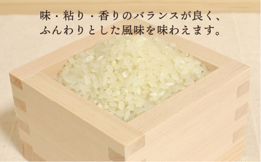 【全6回定期便】糸島産 ヒノヒカリ 10kg×6回糸島市 / 糸島王丸農園 ( 谷口汰一 )【いとしまごころ】 [AAZ016]