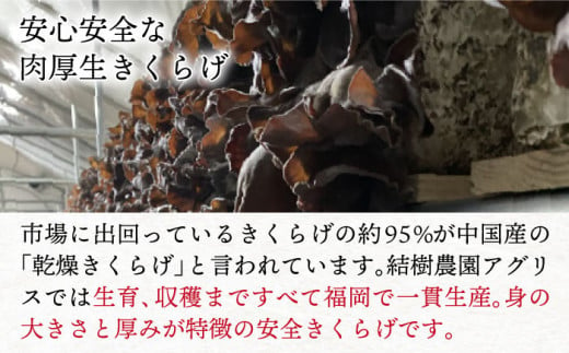 結樹農園アグリス きくらげ満足セット ≪糸島市≫【結樹農園アグリス】きくらげ/国産/明太/明太子 [AAJ004]