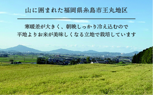 【全3回定期便】糸島産 ヒノヒカリ 5kg×3回 　糸島市 / 糸島王丸農園 ( 谷口汰一 )【いとしまごころ】 [AAZ011]