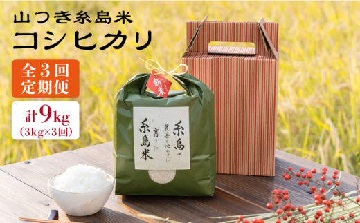 【全3回定期便】糸島 で 農薬 を使わずに育てた 山つき 糸島米 3kg （ コシヒカリ ） 糸島市 / itoshimacco / 株式会社やました [ARJ029]