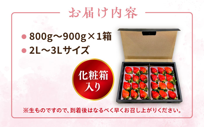 糸島産 あまおう 1箱（800-900g） 糸島市 / 平山農園 [AXN003] あまおう いちご 苺 フルーツ 果物 期間限定 季節限定 贈答用 化粧箱