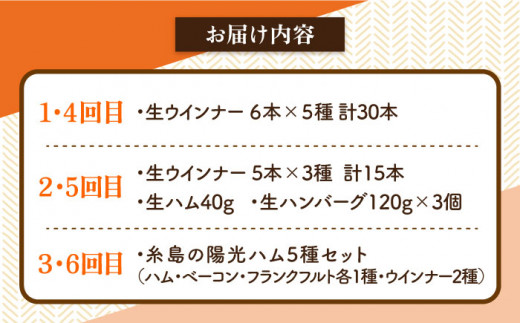 【全6回定期便】 ウインナー / ハンバーグ / ハム 月替り セット 糸島市 / 志摩スモークハウス 生ハム ベーコン [AOA039]