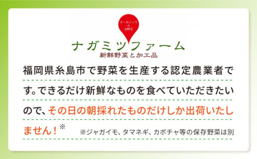 【全3回定期便】糸島の朝産み黄金タマゴ10個 朝どれ新鮮野菜5品 セット【福岡県糸島産】 糸島市 / オーガニックナガミツファーム 玉子 やさい [AGE047]