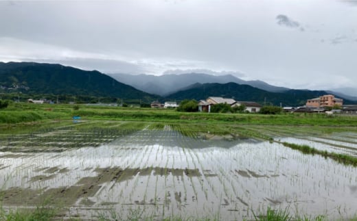 【令和5年産】伊都の米 （ ヒノヒカリ ） 2kg 糸島市 / 伊都福祉サービス協会 [APL001] 米 白米 玄米