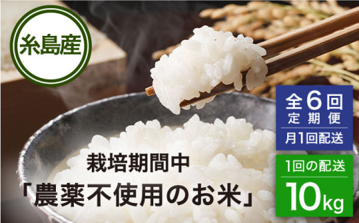 【全6回(月1回)定期便】栽培期間中 農薬不使用のお米 ヒノヒカリ 10kg 糸島市 シーブ [AHC045]