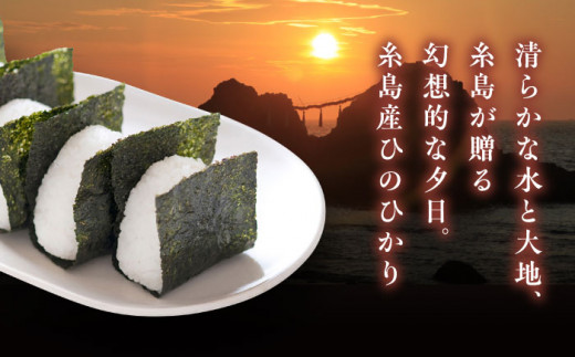 【全3回定期便】【こだわり精米】糸島産 ひのひかり 5kg 糸島市 / RCF 米 お米マイスター [AVM006]