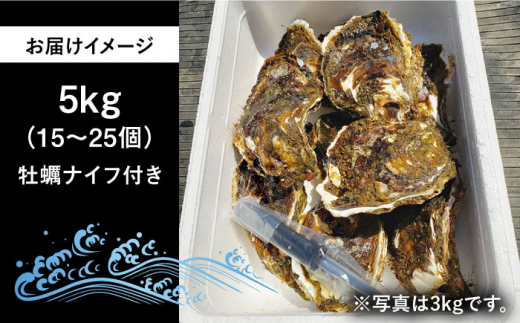 岩牡蠣5kg（15～25個）≪糸島市≫ 糸島市 / ケンちゃんカキ牡蠣/カキ/岩牡蠣 /糸島カキ [AOI003]