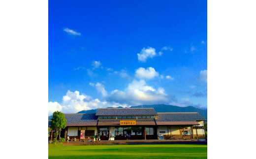 福岡県 糸島産 旬 の 野菜 盛り合わせ セット《糸島》【株式会社フロンティア・アドバンス】 [AWC006]