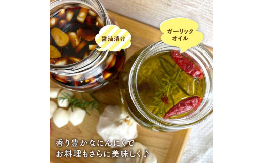 にんにく 500g 数量限定 糸島市 / 爽風農園 / いとしまごころ [AHZ001]