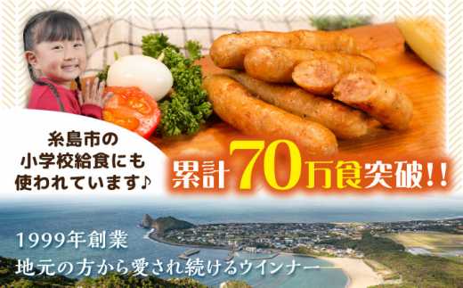 【全3回定期便】特製 生ハンバーグ 生ハム 生ウインナー 3種 セット 糸島市 / 志摩スモークハウス 肉 加工品 [AOA029]