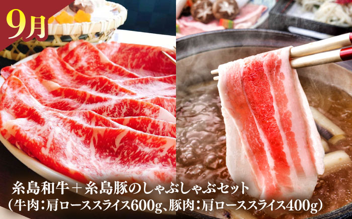 【全12回】【限定30セット】伊都菜彩 プレミアム 定期便 (2人前) 糸島の山の幸、海の幸が詰まったバイヤーオススメの年間定期便 糸島市 / JA糸島産直市場 伊都菜彩 [AED011]