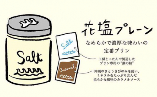 【全3回定期便】しおが主役 しおをかけてたべる プリン 花塩 プレーン 6個 セット 糸島市 / またいちの塩 [AEB007]