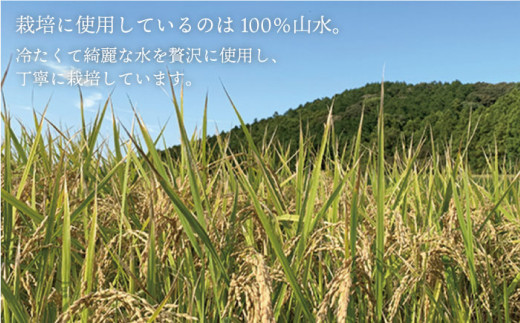 【令和6年産新米】糸島産 夢つくし 10kg　糸島市 / 糸島王丸農園 ( 谷口汰一 ) /いとしまごころ [AAZ005]