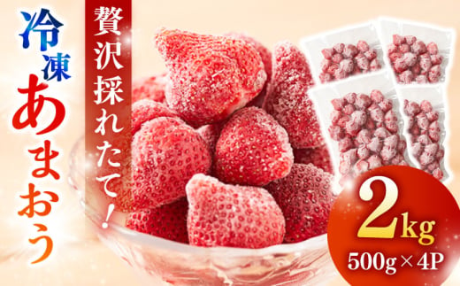 【農家直送！】 冷凍あまおう 2kg（500g×4パック）いちご 苺 糸島市 / みのりのりん [ABD007]