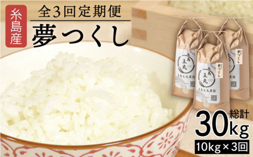 【全3回定期便】 糸島産 夢つくし 10kg × 3回（月1回）糸島市 / 糸島王丸農園 ( 谷口汰一 )【いとしまごころ】[AAZ006]