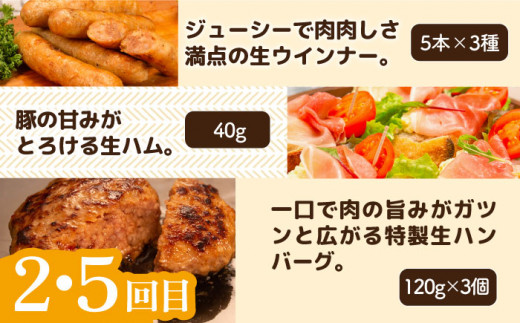 【全6回定期便】 ウインナー / ハンバーグ / ハム 月替り セット 糸島市 / 志摩スモークハウス 生ハム ベーコン [AOA039]