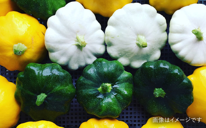 【全6回定期便】【☆畑直送☆栽培期間中農薬不使用！】お 米 2kg & 野菜 5品 の セット 糸島市 / オーガニックナガミツファーム 	[AGE037]