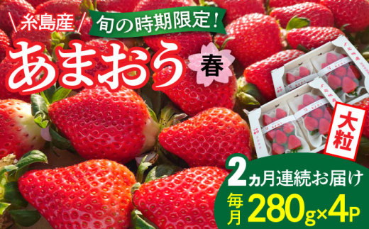 【全2回定期便】【農家直送！】糸島産 春 あまおう 280g×4パック (DXおよびGサイズ) 【先行予約受付中・2025年1月下旬以降順次発送】 糸島市 / 後藤農園 いちご 福岡 [AML006]