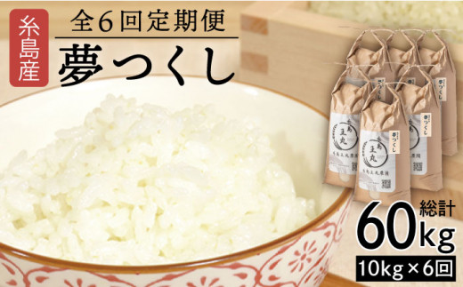 【全6回定期便】 糸島産 夢つくし 10kg×6回（月1回）　糸島市 / 糸島王丸農園 ( 谷口汰一 )【いとしまごころ】[AAZ007]