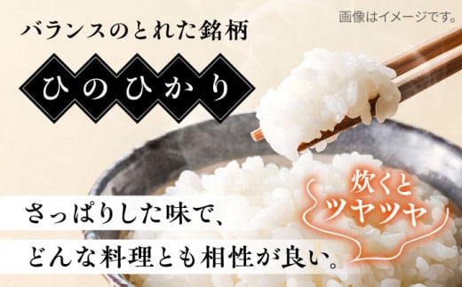 【こだわり精米】令和5年 糸島産 ひのひかり 5kg 糸島市 / RCF 米 お米マイスター [AVM002]