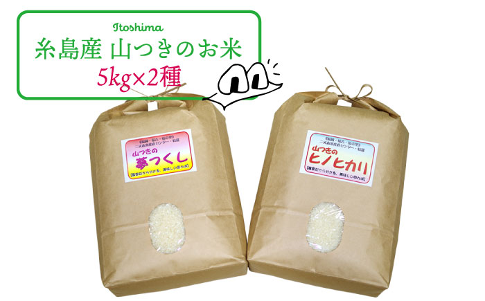 福吉産 の お米 ・ 2品種 セット 糸島市 / 二丈赤米産直センター [ABB011] 米 食べ比べ 無洗米