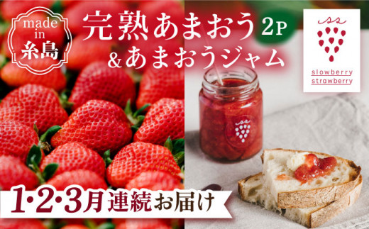 【全3回定期便】完熟 あまおう 270g × 2パック / あまおう ジャム 140g × 3本 【先行予約：2025年1月より順次発送】  糸島市 / slowberry strawberry 苺 いちご [APJ005]