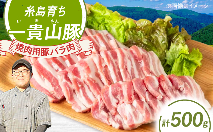 一貴山豚 焼肉用バラ肉 計500g(250g×2p) 糸島市 / いきさん牧場 豚肉 [AGB034] 豚肉 豚 ブランド豚 一貴山豚 ポーク バラ 豚バラ 脂身 小分け