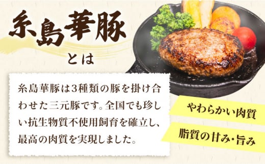 【人気セット】A4ランク 博多 和牛 ヒレ肉 サイコロ ステーキ 300g / 生 ハンバーグ 150g × 3個 《糸島》 【糸島ミートデリ工房】 [ACA052] 国産 冷凍 ランキング 上位 人気 おすすめ