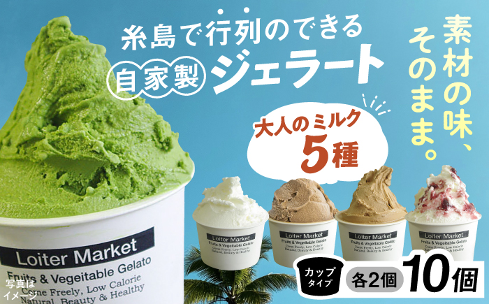 糸島で行列のできる アイスクリーム屋 ジェラート カップ 10個 セット！ 大人の味 5種類 × 各2個 （ ミルク , 抹茶 , ほうじ茶 , カフェオレ , ブルーベリーヨーグルト ） 糸島 / LoiterMarket ロイターマーケット[AGD002] アイス クリーム アイスクリーム