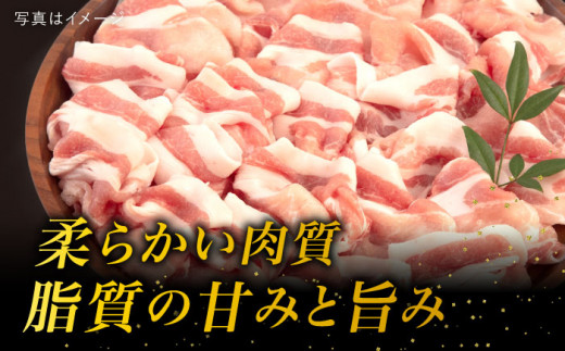 【全3回定期便】糸島 華豚 ロース 肉 スライス しゃぶしゃぶ 用 600g 糸島市 / 糸島ミートデリ工房 [ACA326]