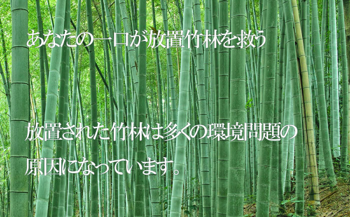 【全12回定期便】【国産】やみつき！ 無限 めんま 100g 醤油味 メンマ 糸島市 / 株式会社竹次郎 [AWJ007] メンマ 一品 おかず おつまみ ラーメン 醤油 ご飯のお供