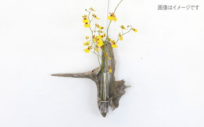 Driftwood FlowerBase 流木一輪挿し フラワーベース 糸島市 / WOOD\'ARBRE(ウッドラヴル)【TIME】 インテリア 雑貨 [ADC003] インテリア 雑貨 一輪挿し 流木 お洒落 木 おしゃれ オシャレ シンプル 壁掛
