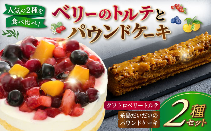 ベリーのトルテとパウンドケーキ 2種セット 糸島市 / 五洋食品産業　ケーキ スイーツ [AQD037]