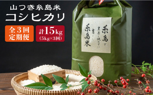 【全3回定期便】糸島 で 農薬 を使わずに育てた 山つき 糸島米 5kg （ コシヒカリ ） 糸島市 / itoshimacco / 株式会社やました [ARJ035]